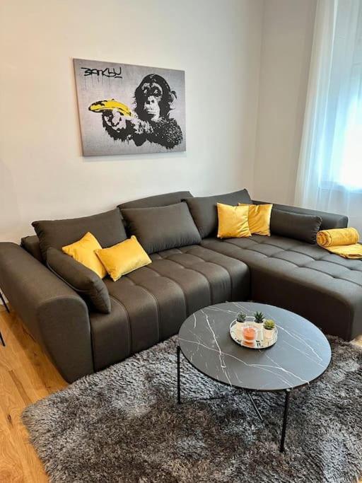 "Die Wohnung Neben Der Stadthalle" 格拉茨 外观 照片